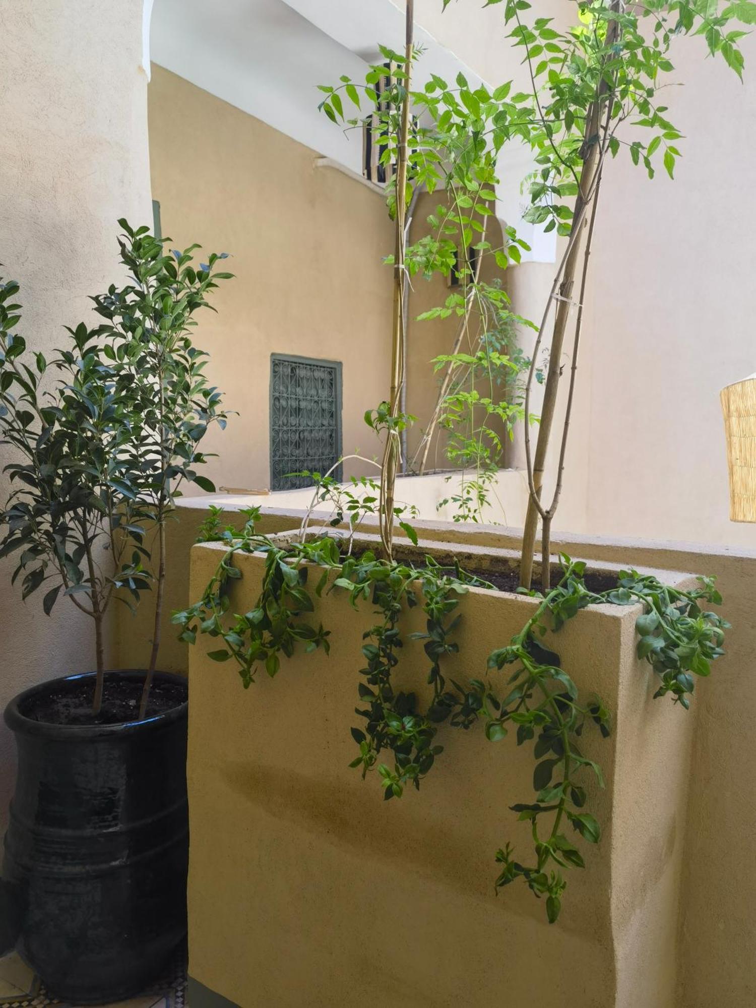 Medina Oasis Hostel Marraquexe Exterior foto
